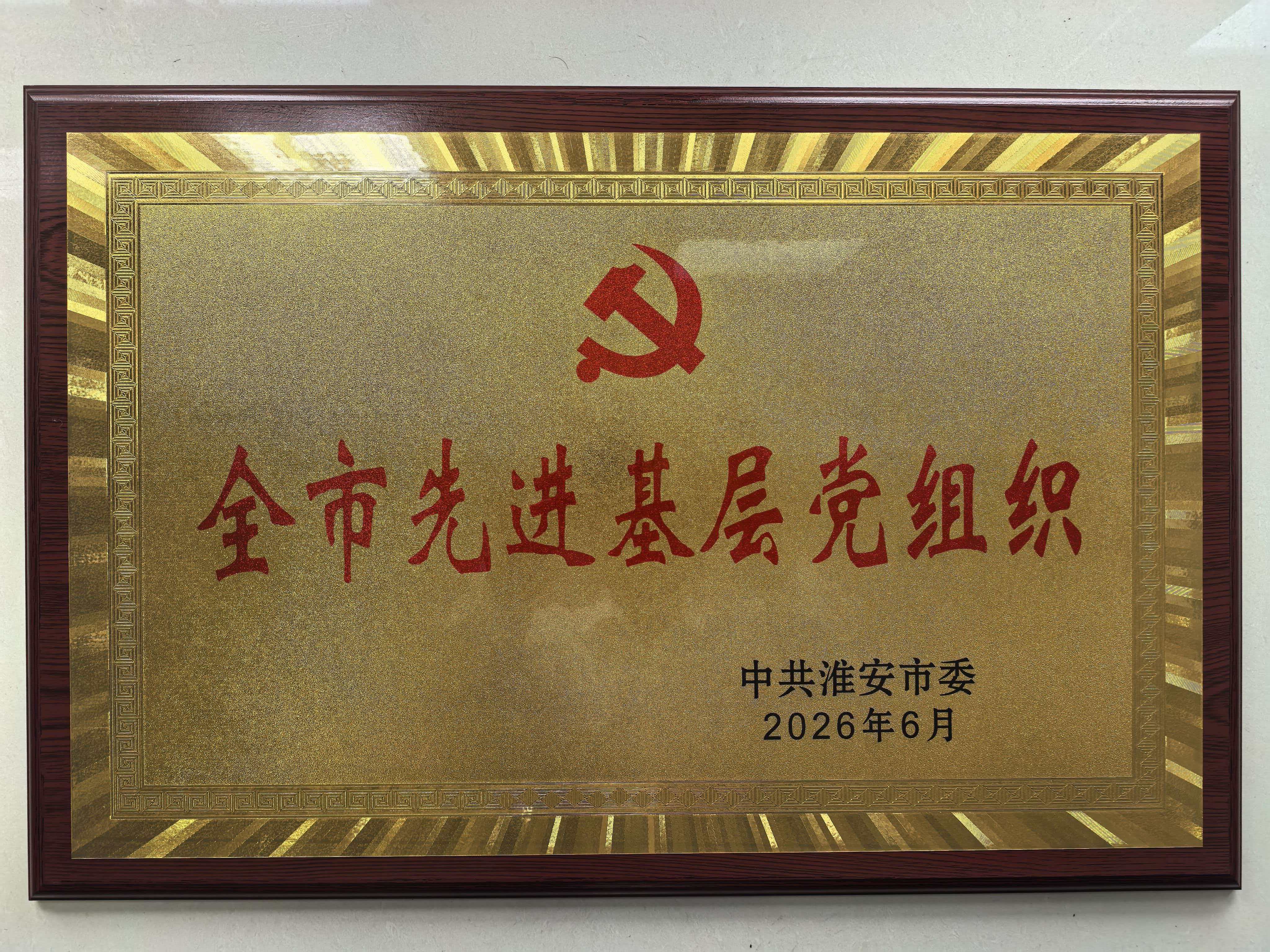 全市先进基层党组织.jpg